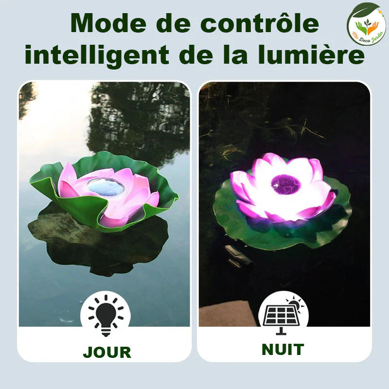 Lampe LED | Piscine Lotus – Image 4