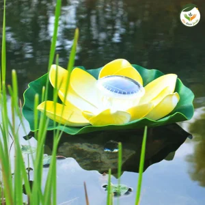 Lampe LED | Piscine Lotus
