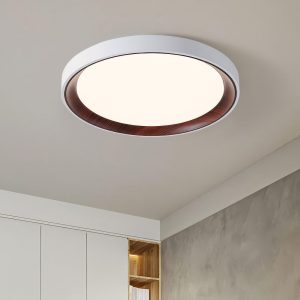 Petit plafonnier led salle de bain rond